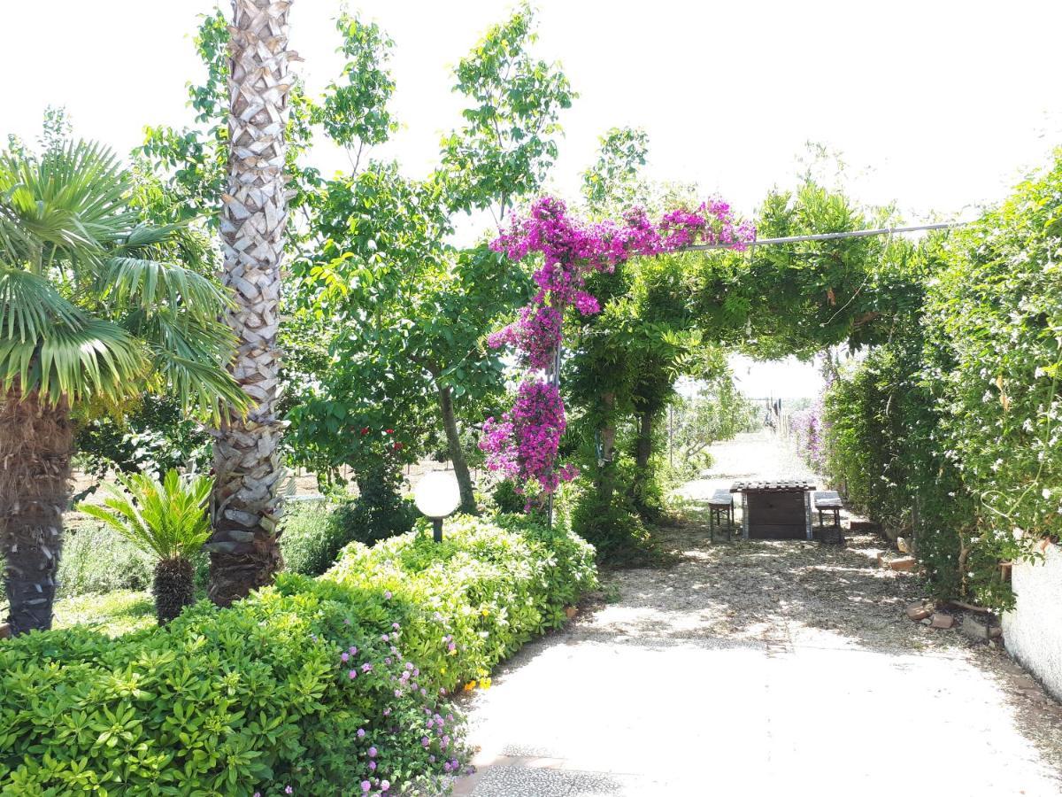 Villa Zahara Ribera Esterno foto