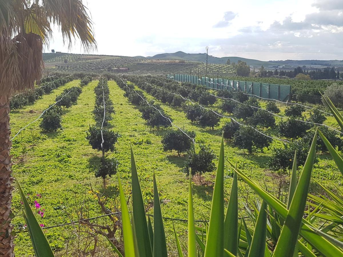 Villa Zahara Ribera Esterno foto